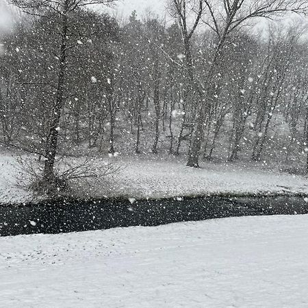 River Wellness Jince エクステリア 写真